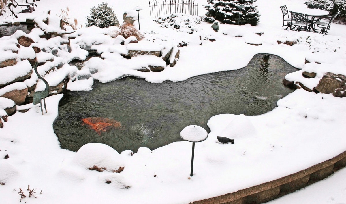 Položte tenisový míček do své zahrady do konce týdne: čeká vás příjemné překvapení.