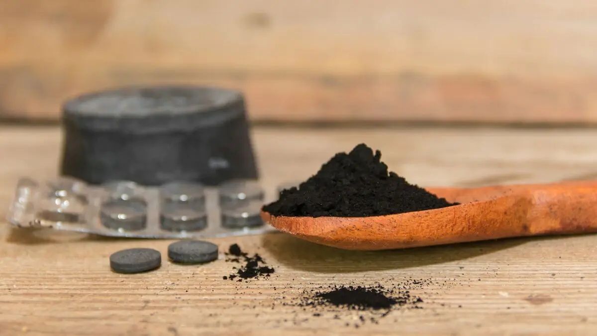 Gießen Sie es in den Topf und vermischen Sie es mit der Erde. Zamiokulkas verfärben sich nicht mehr gelb und bilden auch im Winter viele neue Blätter