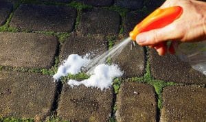 Nalijte do květináče 4 sklenice vody a udělejte to v únoru. Mech na kostce zmizí dříve, než stihnete vytáhnout štětec.